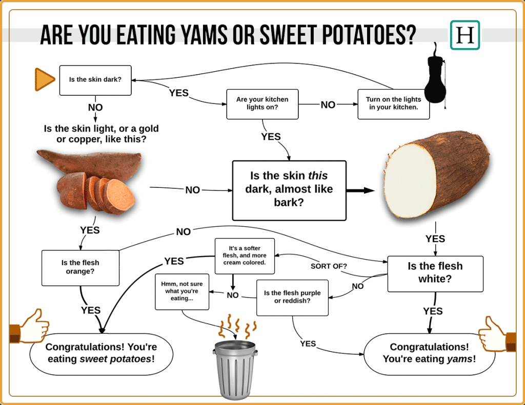 Original publish at http://www.huffingtonpost.com/2013/11/26/sweet-potatoes-or-yams_n_4325275.html